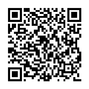 卢向东和罗志阳之间曾经有过极深的矛盾和冲突二维码生成