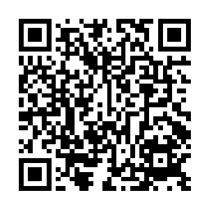 卢向东实在不知道该怎么回答这个只见过三次面的女孩子二维码生成