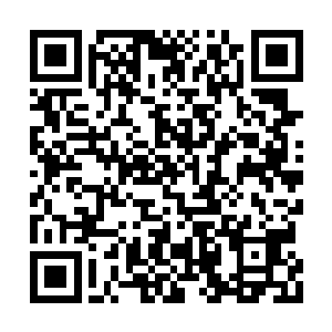 卢向东实际上只要重点关注这两个车间就可以了二维码生成