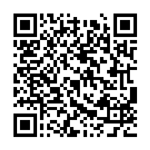 卢向东就像一台高速行驶的汽车突然被踩下了刹车二维码生成