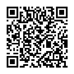 卢向东很怀疑马玉华的古灵精怪是跟着二丫学的二维码生成