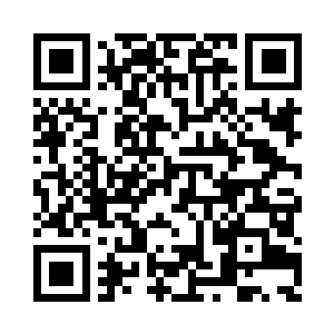 卢向东指定的那两件山水盆景也是搬自竹园巷二维码生成