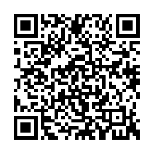 卢向东没想到廖蓝现在的表现和平时完全不一样二维码生成