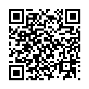 卢向东的材料根本到不了罗嘉实面前二维码生成