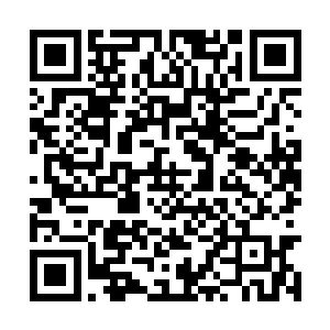 卢向东还记得昨天扶住她的小蛮腰时那惊人的弹力二维码生成