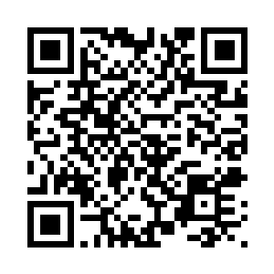 卢大伟的身体更是忍不住颤抖起来二维码生成