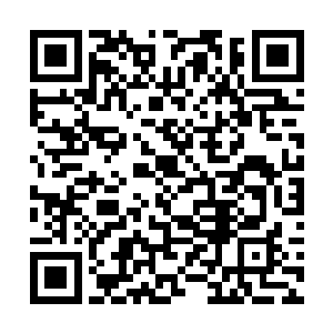 卢楠和陆为民的关系还达不到单独邀请坐一坐那一步二维码生成