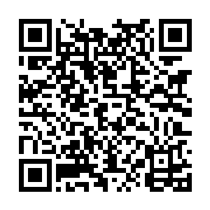 卫正冬会趁着我不在苏南市的这段时间对付李凌峰二维码生成