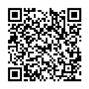 卫生间和浴室都是无用的――她很久没有吃食物了二维码生成