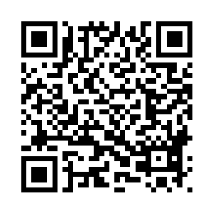 卫皇安从饮江贝中拿出一粒龙纹米二维码生成