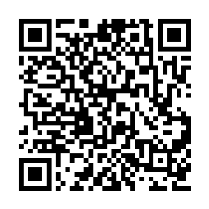 卫蘅嫁给陆湛后的日子算得上是极顺心畅意的了二维码生成