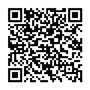 卫蘅还以为自己会看到一双充满愤怒和仇恨的眼睛二维码生成