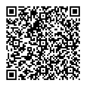 印楼兰在临终前的最后一刻看到了什么……但看到这一幕的人都愿意相信……他确是看到了自己想见的那个人二维码生成