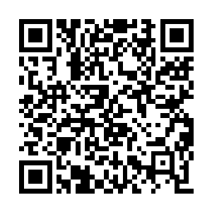 印象肯定不准……没有谁是谁的替代品……真的二维码生成