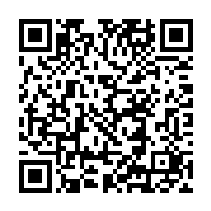 危机到她的生命……幸好那种波动只有一次就停止了二维码生成
