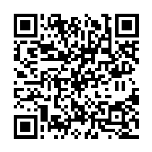 即使他前世也不会去看这些文人墨客才会看的东西二维码生成