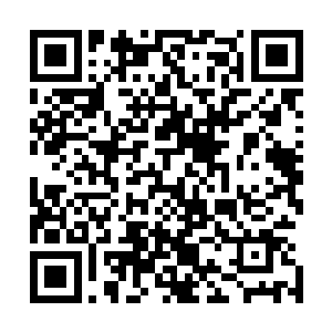 即使他拿着血脉和灵魂之火晶石一个城市一个城市地找过去二维码生成