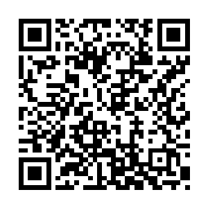 即使再次面对比自己实力强上一个级别的花蝴蝶二维码生成