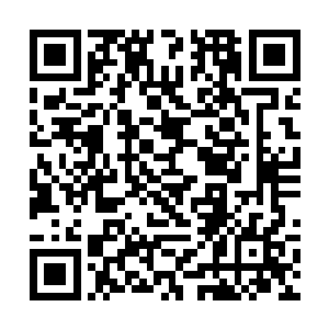 即使凤家是大楚四大富商之一也顶不过一个士农工商二维码生成