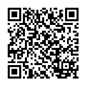 即使成圣了恶灵还在自己的圣级元灵之中存在着二维码生成