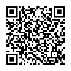 即使是一名拥有地级一品的修武者都可能瞬间身死道消二维码生成