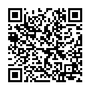 即使是八颗头颅都被突兀出现的粉色锁链紧紧缠住二维码生成