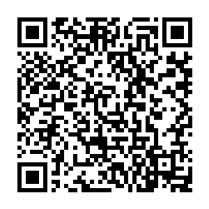 即使是周围的人都能明显感觉到定王对迎接北境王这件事报以了高度的热情二维码生成