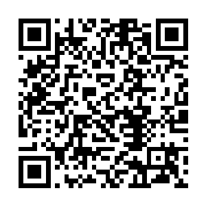 即使是她之前的家族在听到了之后都会为之疯狂不已二维码生成