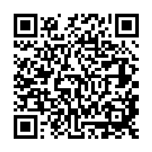 即使是希区柯克和库布里克两位大师也因为错失了奥斯卡而遗憾二维码生成