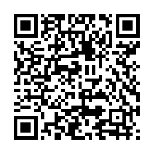 即使是最好的战士也无法从猛烈的撞击中进行反击二维码生成