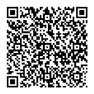 即使知道副总能力很高但是能以一己之力得到世界前三强的wsh公司合作三年的机会还是很大的冲击二维码生成