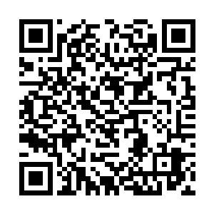 即便他从来没有出去猎杀任何一头图腾圣兽或者圣灵二维码生成