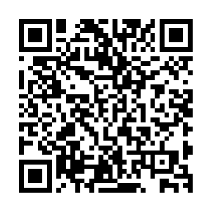 即便偶尔有几张年轻的面孔也是西装革履一幅少年老成的模样二维码生成