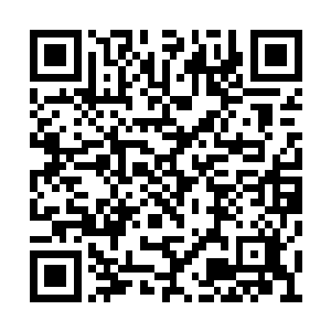 即便再来一次……当时她对苏佳怡也是无法下手二维码生成