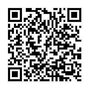 即便凤来栖客栈是皇城内一个主神级家族势力的产业二维码生成