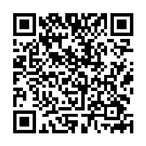 即便在场很多人都知道叶秋是俩个美女老板的保镖和司机二维码生成