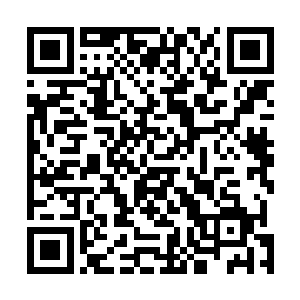 即便明白皇哲齐是一位实力远超他们任何一人的超级高手二维码生成