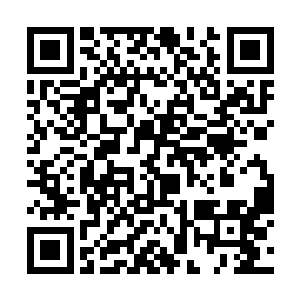 即便是一些后天后期的武者也无法阻挡他能力的渗透二维码生成