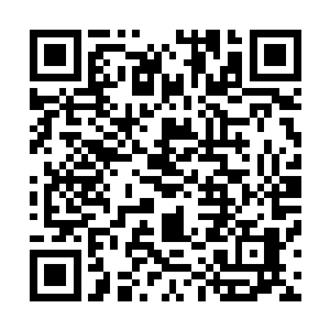 即便是一向以新奇潮流著名的韩国比赛中也绝对没有出现过二维码生成