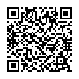 即便是他们碰上了这一刀也没有什么回旋的余地二维码生成
