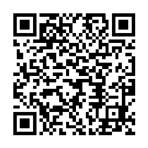 即便是元婴期在没有全力防备的情况下也会被炸个粉碎二维码生成