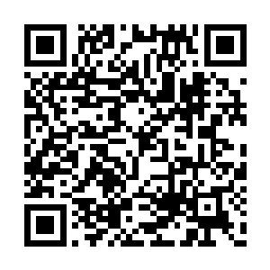 即便是前世的准圣顶峰的杨戬也没有过这种感觉二维码生成