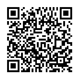 即便是周围的几名弟子都在细针射出的那一刹那感到毛骨悚然二维码生成