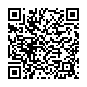 即便是周围的那些神国中都没有这般有权势的家主二维码生成