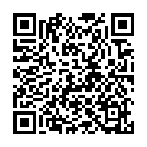 即便是圣皇大圆满境界的盖世强者都会受到致命的伤害二维码生成