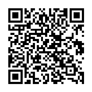 即便是如宝贝亲亲这样家境优渥的女子也是需要实力事业滴二维码生成