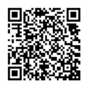 即便是戴着面具也没有办法掩盖出已经渗到黄金之外的怒意了二维码生成