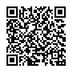 即便是月鼎天与紫千御也不能在短时间之内便突破对方的关卡二维码生成