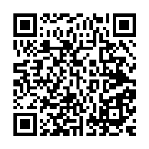 即便是此刻乐萍儿的指甲已经深深的陷入了陈景皓的脖子之中二维码生成