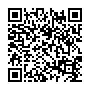 即便是现在凤如心的凤凰虚影仅仅进行了一次涅槃二维码生成